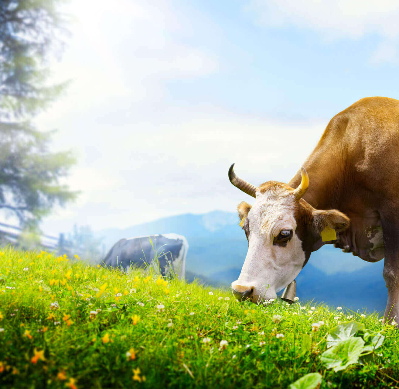 Brauereien im Allgäu