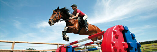 reiten reitschule