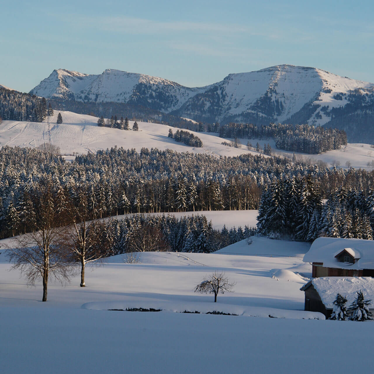 Blick auf den Hochgrat im Winter